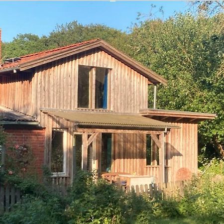 Natur Kunst Ferienhaus Neu Darchau 外观 照片