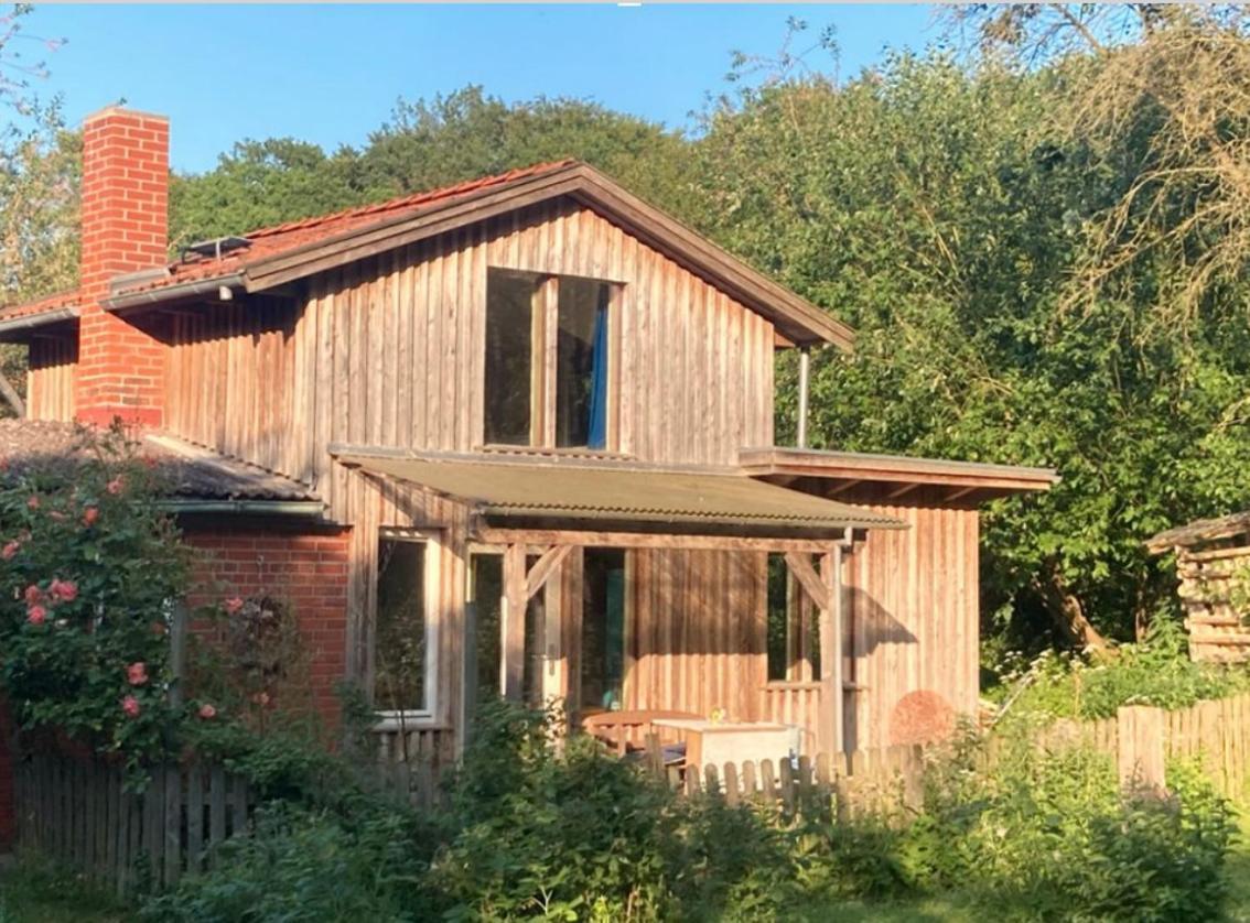 Natur Kunst Ferienhaus Neu Darchau 外观 照片
